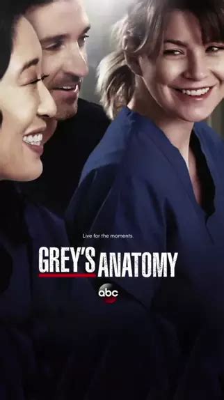 grey's anatomy torrentz|grey's anatomy completo dublado torrent.